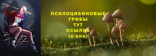 хмурый Дмитров