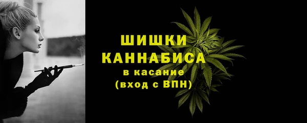 дмт Шали