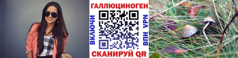 Псилоцибиновые грибы GOLDEN TEACHER  Купить где  Приволжский 